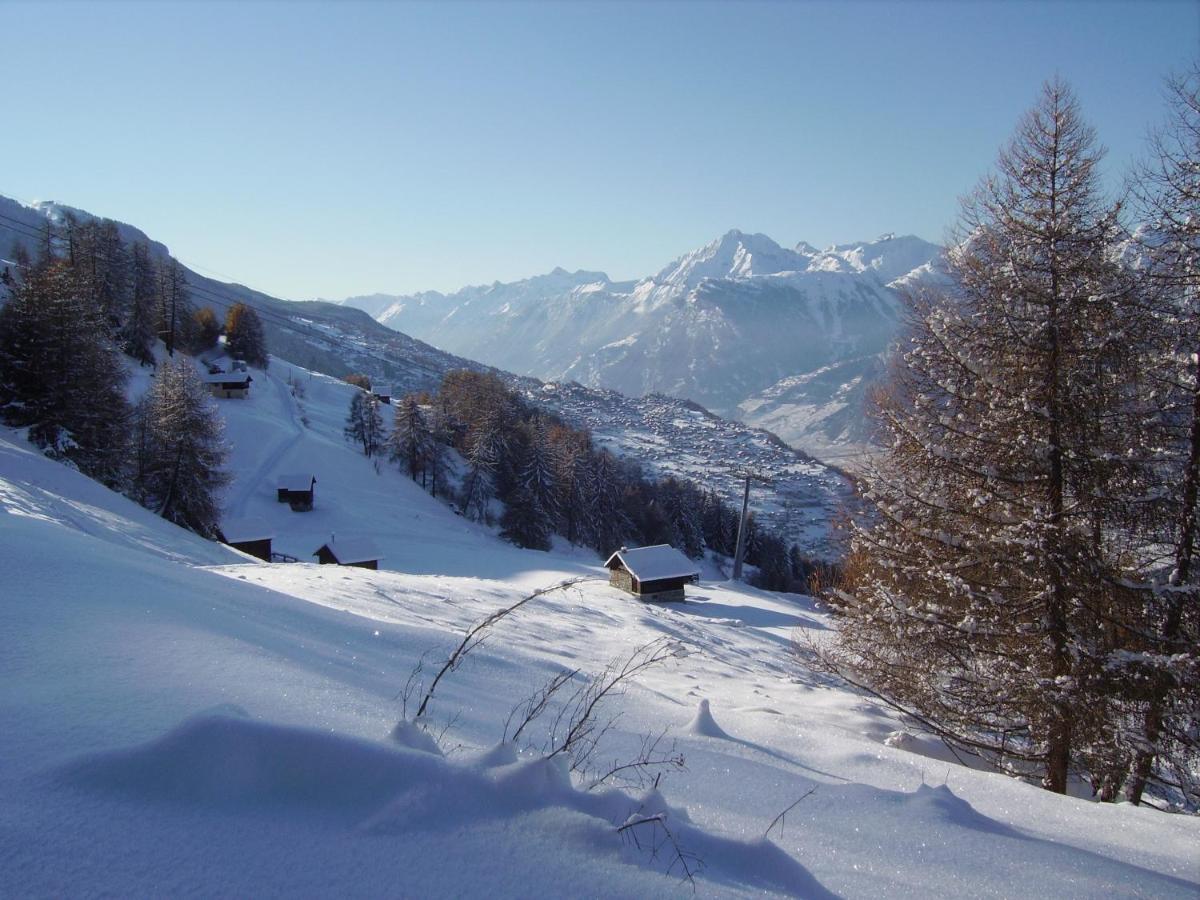 Pracondu 1 Outdoor & Fun Appartement 1 Chambre Superieur Avec Balcon By Alpvision Residences Nendaz Exterior photo