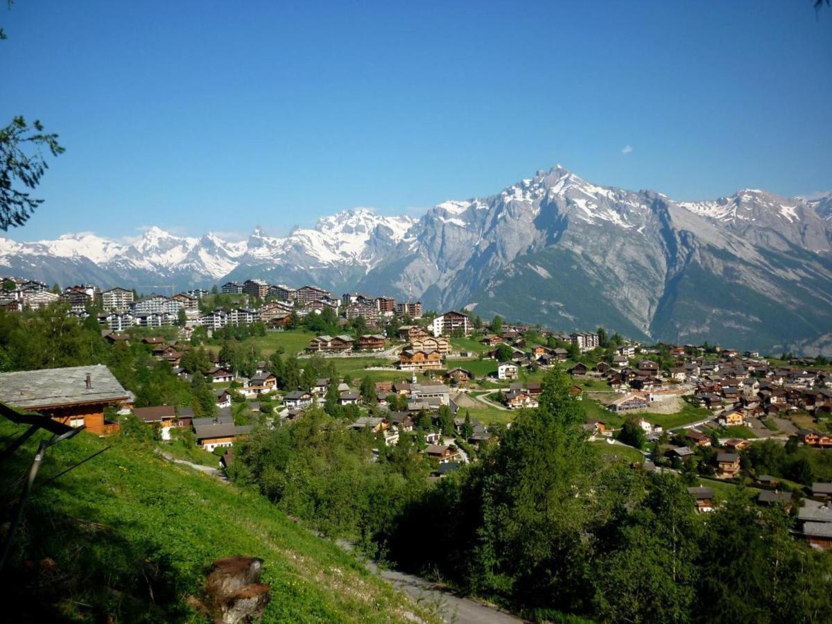 Pracondu 1 Outdoor & Fun Appartement 1 Chambre Superieur Avec Balcon By Alpvision Residences Nendaz Exterior photo