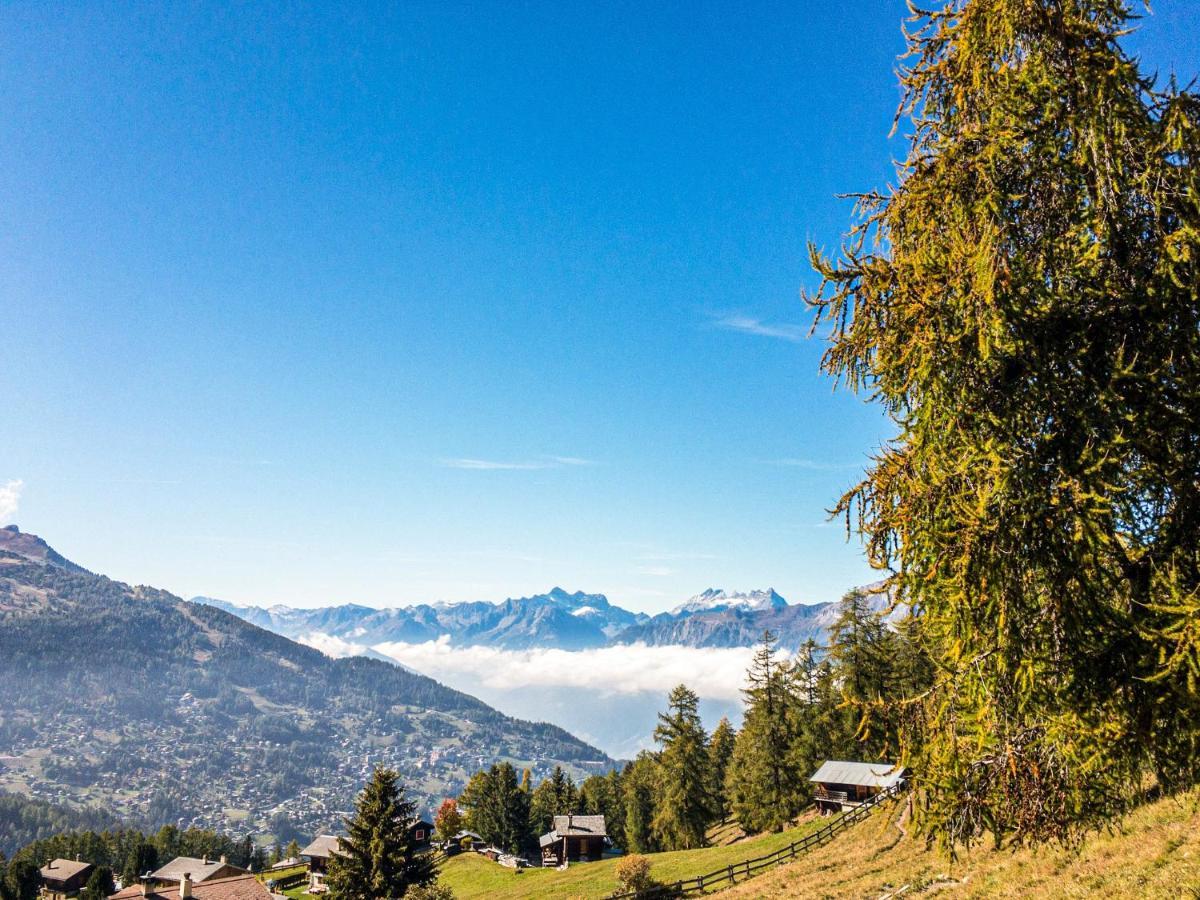 Pracondu 1 Outdoor & Fun Appartement 1 Chambre Superieur Avec Balcon By Alpvision Residences Nendaz Exterior photo